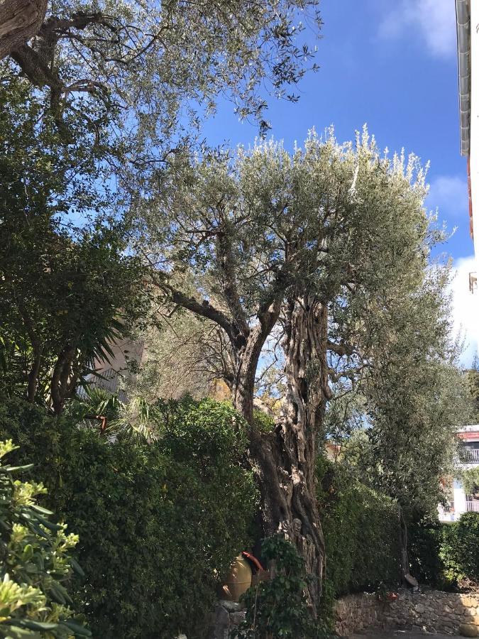 Апартаменты "L'Olivadou" St Jean Cap Ferrat Сен-Жан-Кап-Ферра Экстерьер фото