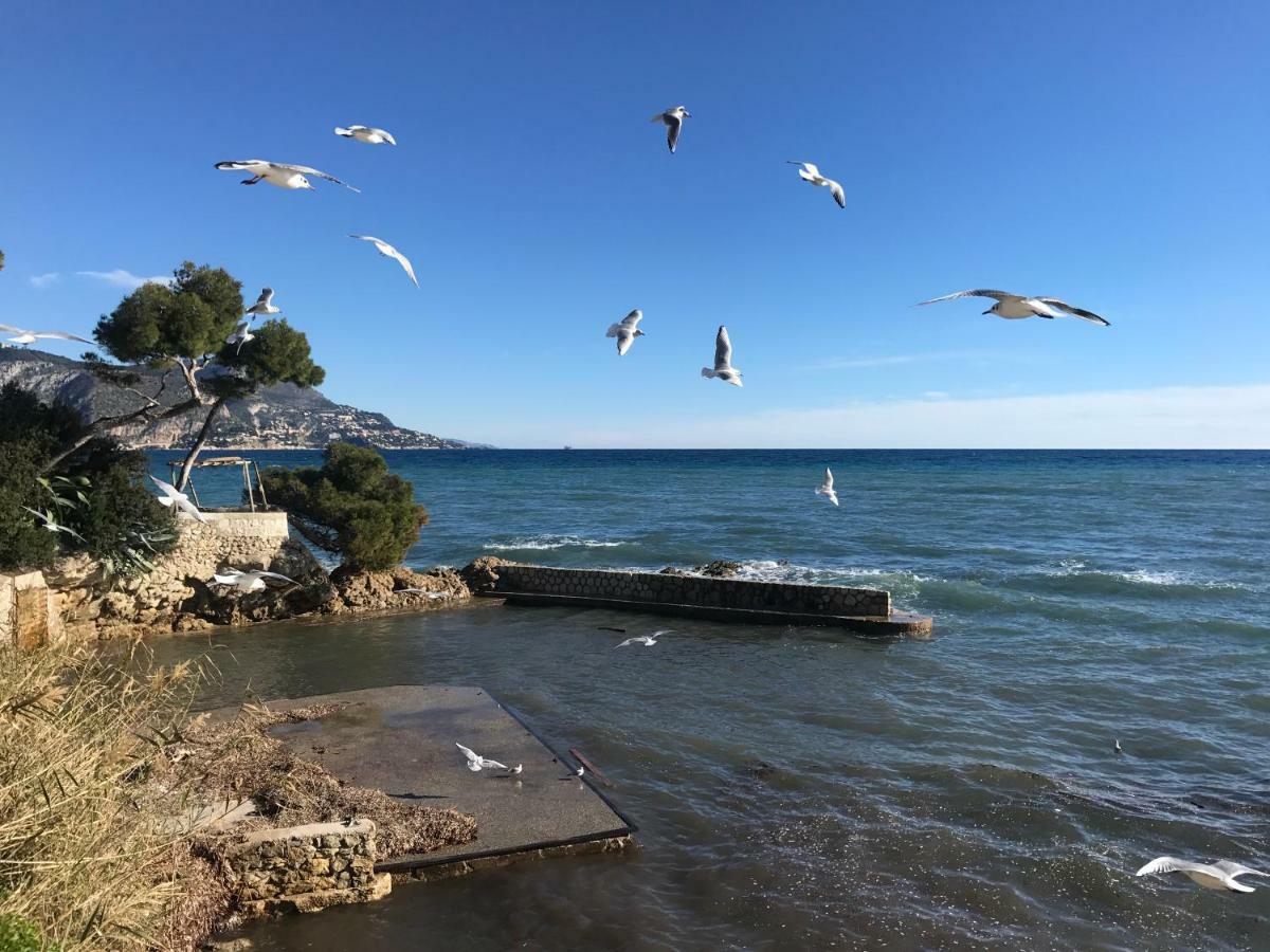 Апартаменты "L'Olivadou" St Jean Cap Ferrat Сен-Жан-Кап-Ферра Экстерьер фото